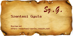 Szentesi Gyula névjegykártya